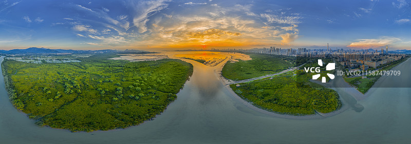 深圳福田深圳河出海口红树林湿地生态全景图片素材