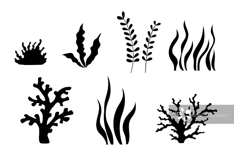 海藻剪影黑色植物图标图片素材