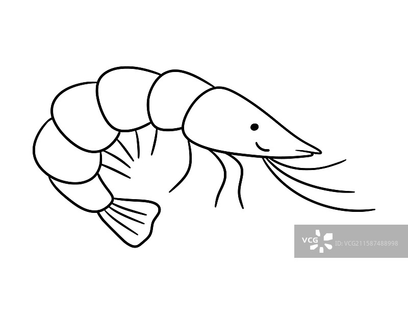 可爱的虾子涂鸦海洋动物图片素材