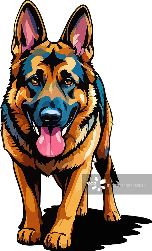 德国牧羊犬站在地板上图片素材