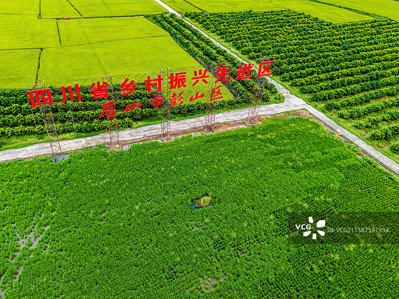 新农村-永丰村高标准农田图片素材