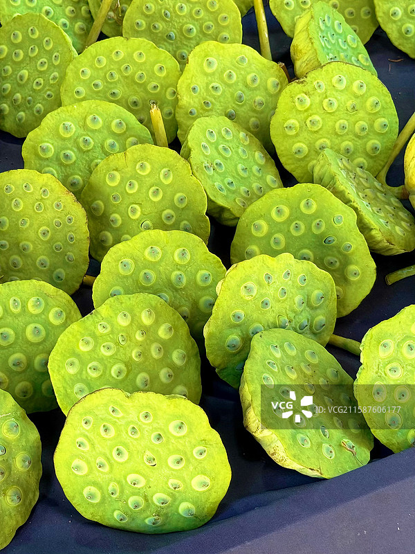 莲蓬图片素材