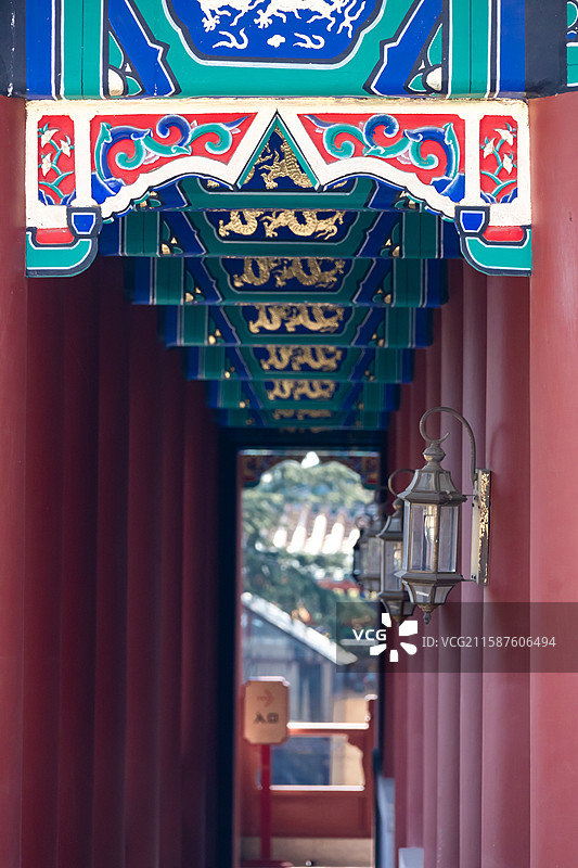 青岛 湛山寺 玉兰花 寺庙 宗教 传统文化 长廊 屋檐 古建筑图片素材