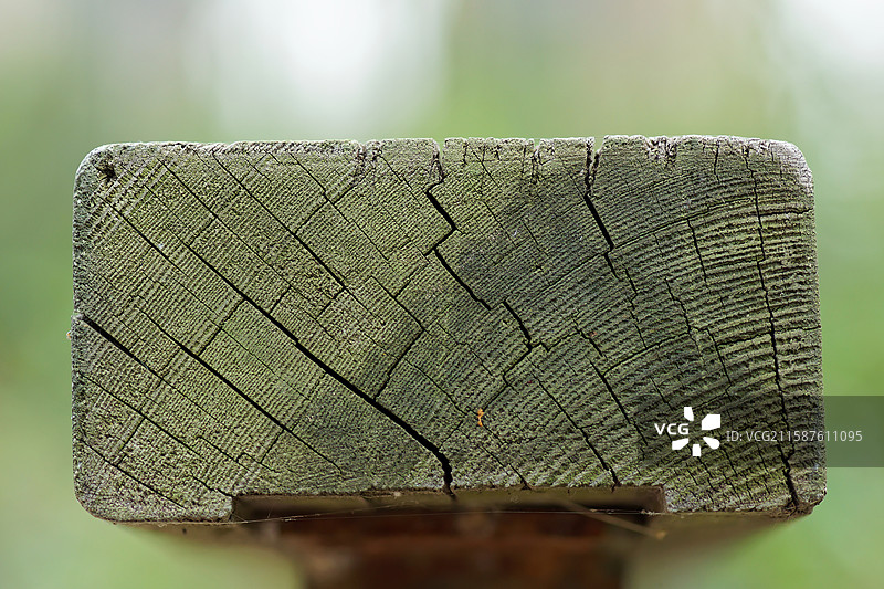 栏杆木纹特写镜头，木头侧面，素材背景，纹理质地材料图片素材