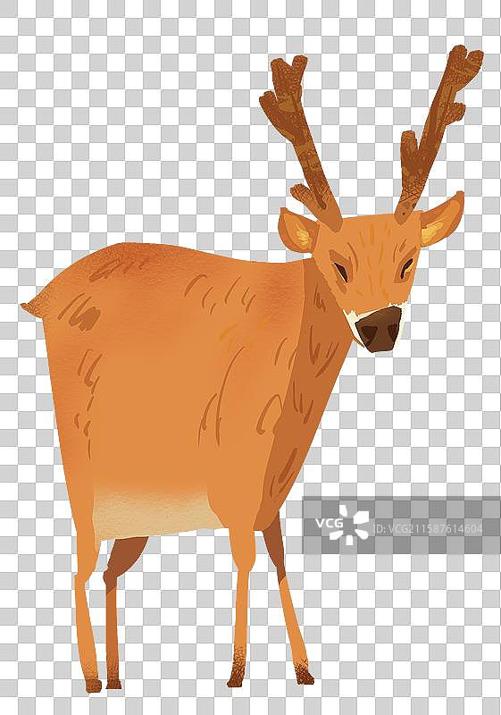 驯鹿动物元素图片素材