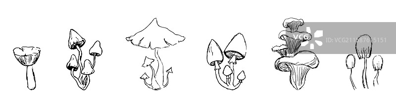 幻想森林中的蘑菇素描涂鸦画图片素材