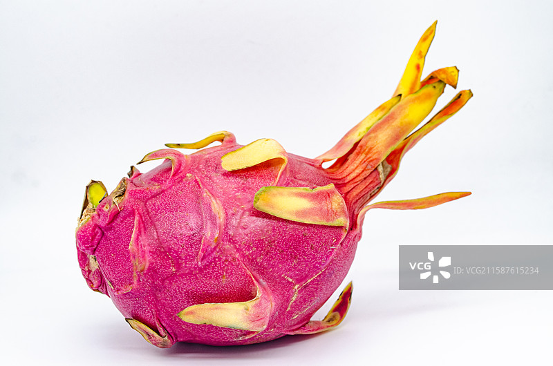 中国传统水果美食饮食产业影棚拍摄主题，白色背景下一个玫红色的火龙果水果，室内无人图像摄影图片素材