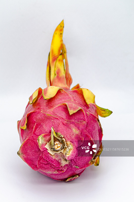中国传统水果美食饮食产业影棚拍摄主题，白色背景下一个玫红色的火龙果水果，室内无人图像摄影图片素材