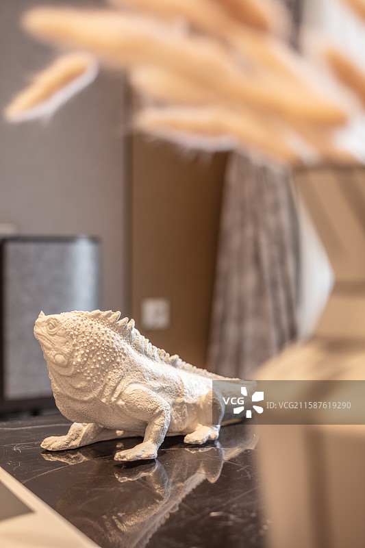 木质桌面白色蜥蜴摆件特写图片素材