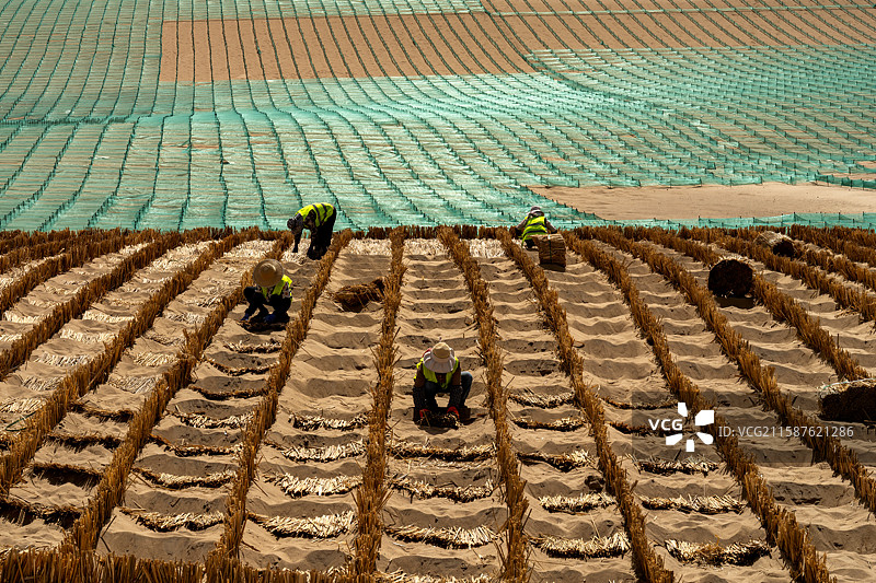 青海格尔木315国道固沙治沙图片素材