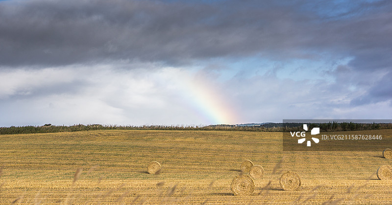 苏格兰的田园景色图片素材