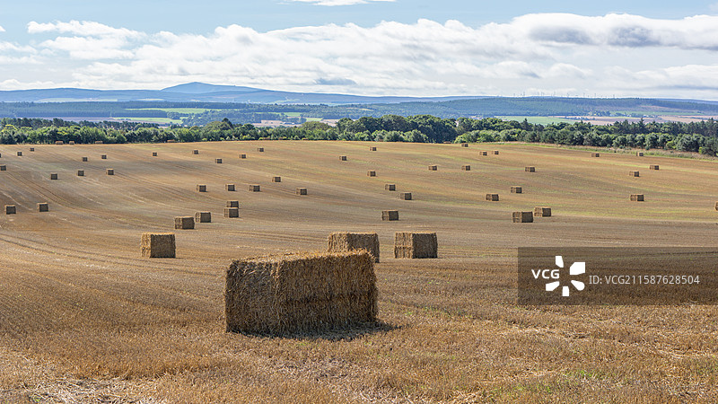 苏格兰的田园景色图片素材