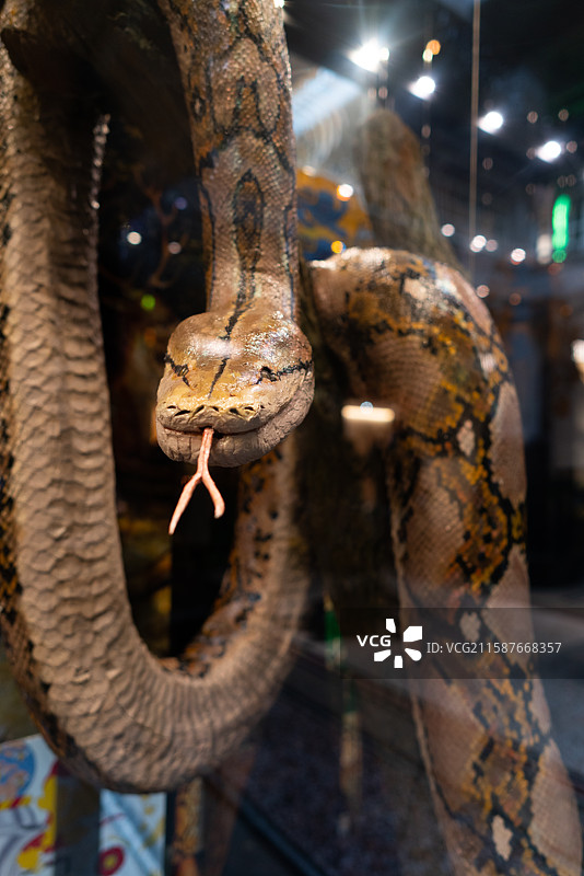 英国城市风景风光图片素材