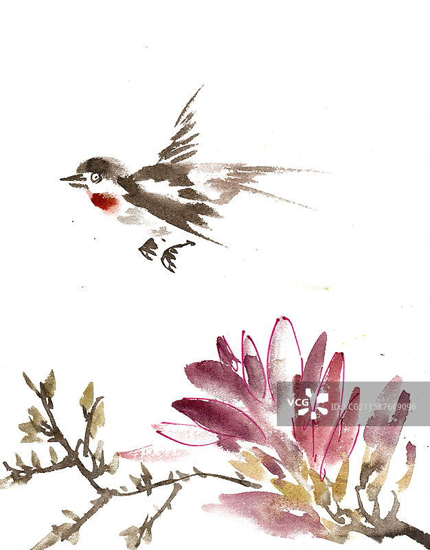 飞翔的燕子图片素材