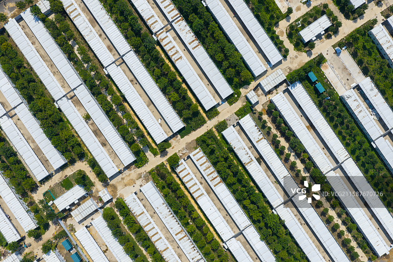 河南省 周口市 商水县 隔离病房 临时医院 简易房建筑 隔离医院图片素材