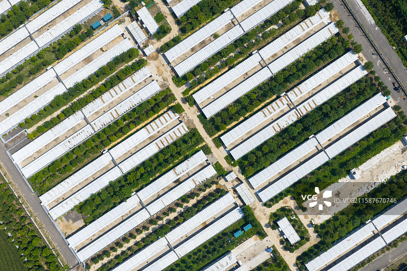 河南省 周口市 商水县 隔离病房 临时医院 简易房建筑 隔离医院图片素材