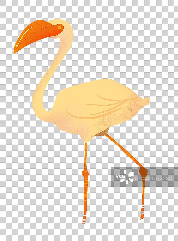 火烈鸟卡通动物角色元素图片素材