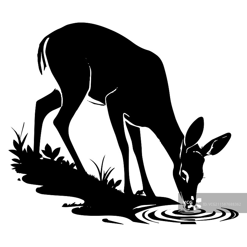 鹿在饮水的剪影图片素材