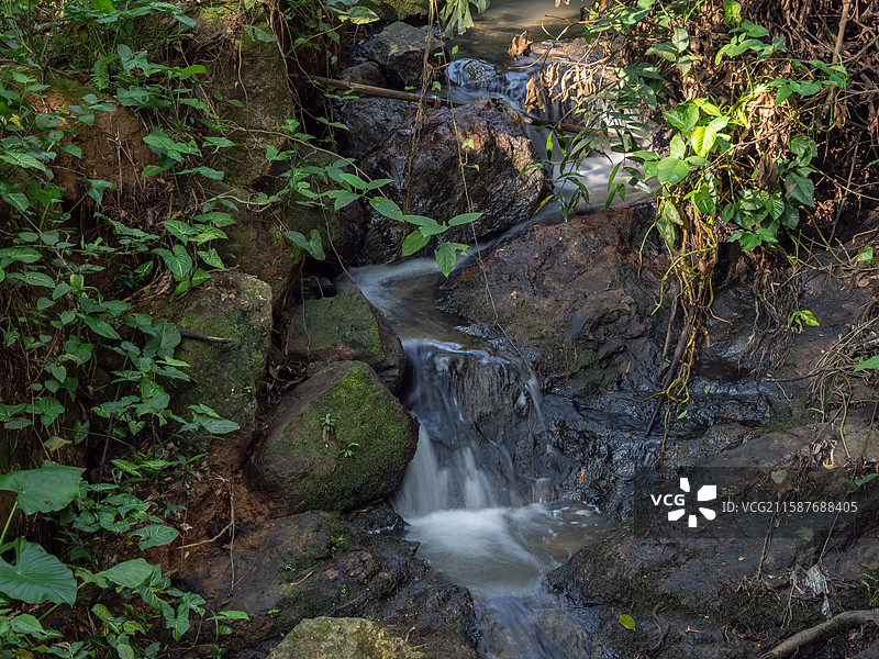 广州滴水岩森林公园溪流各处特写图片素材