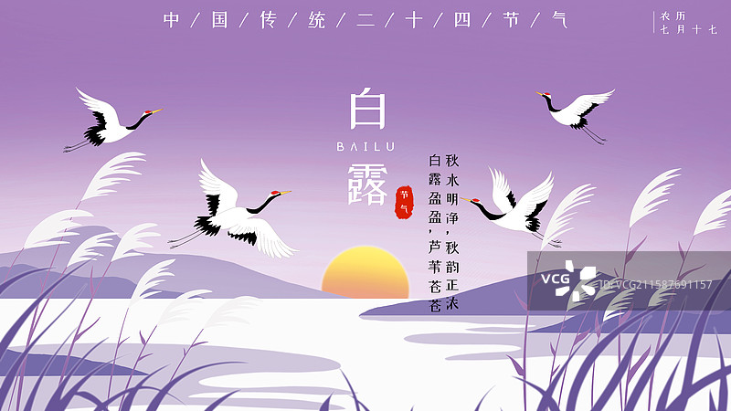 新中式国潮风描边风格紫色二十四节气白露插画图片素材