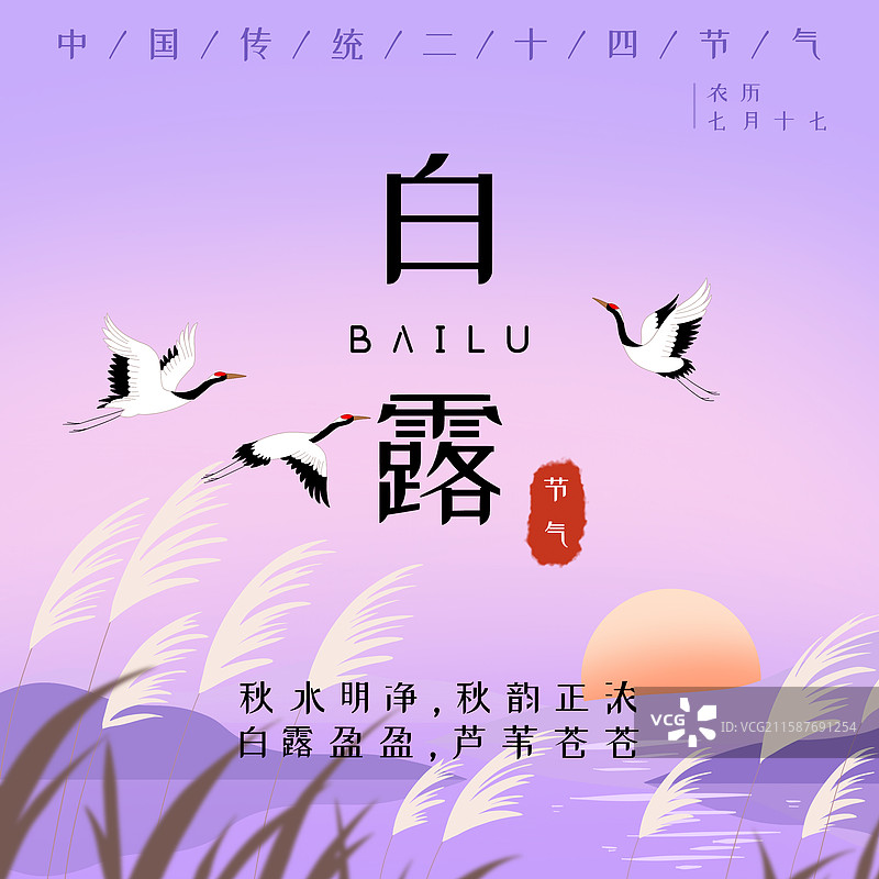 新中式国潮风描边风格紫色二十四节气白露插画图片素材