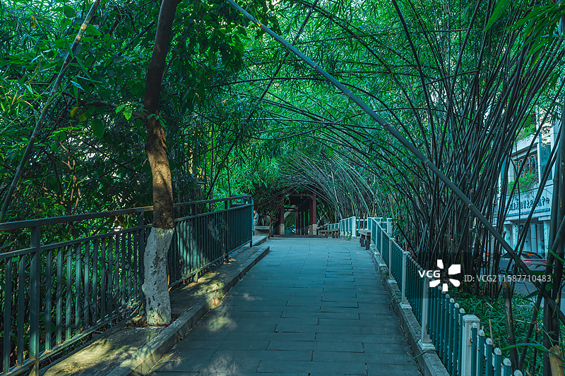 绿荫的城市小公园一角图片素材