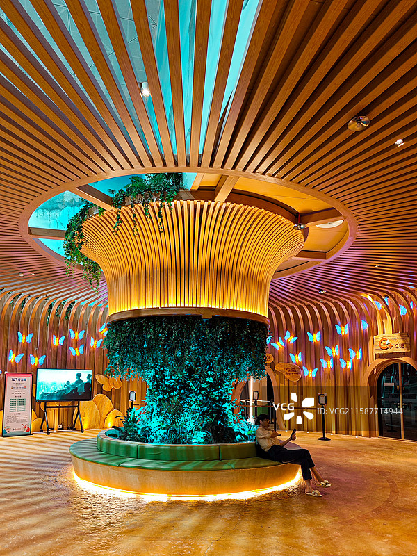 蝶影木韵图片素材