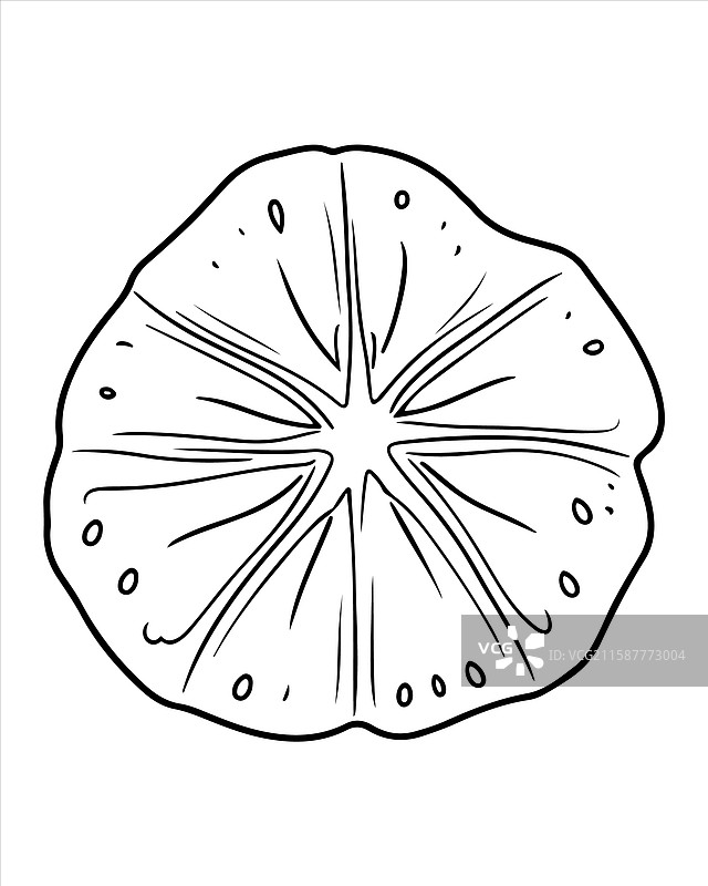 儿童海洋动物涂色页图片素材