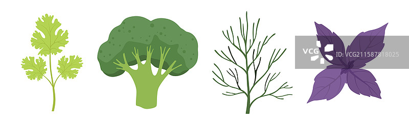 新鲜沙拉的绿叶蔬菜组合图片素材