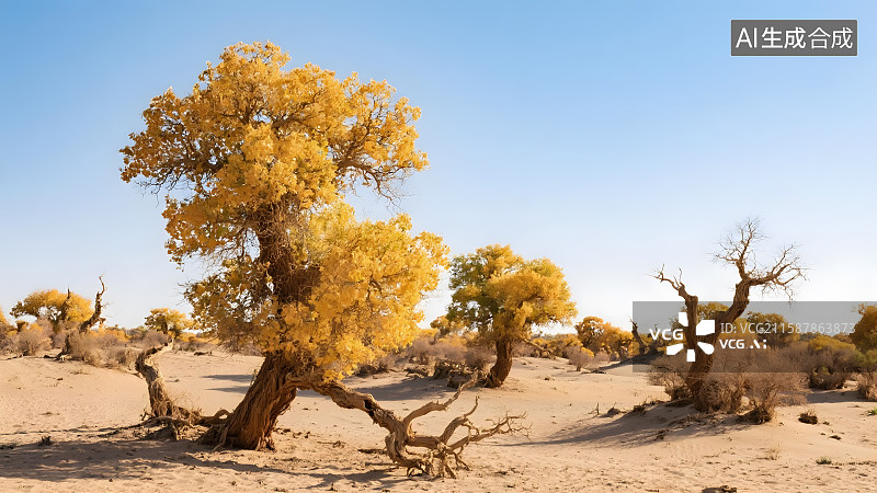 【AI数字艺术】大漠胡杨的生命奇迹图片素材