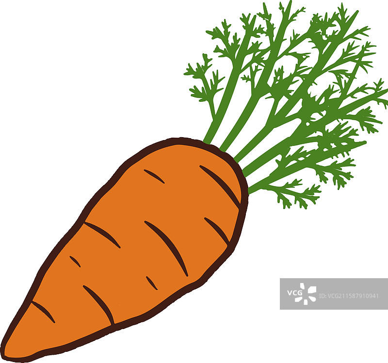 手绘卡通扁平胡萝卜及其叶子图片素材