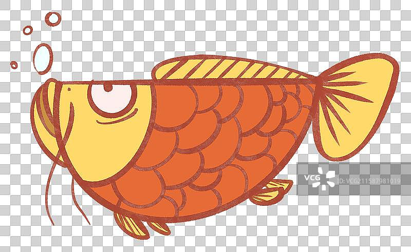 卡通金龙鱼元素图片素材