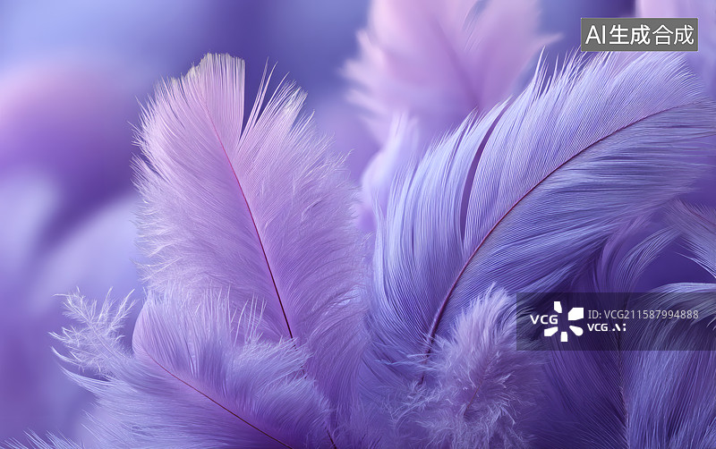【AI数字艺术】紫色羽毛背景图片素材