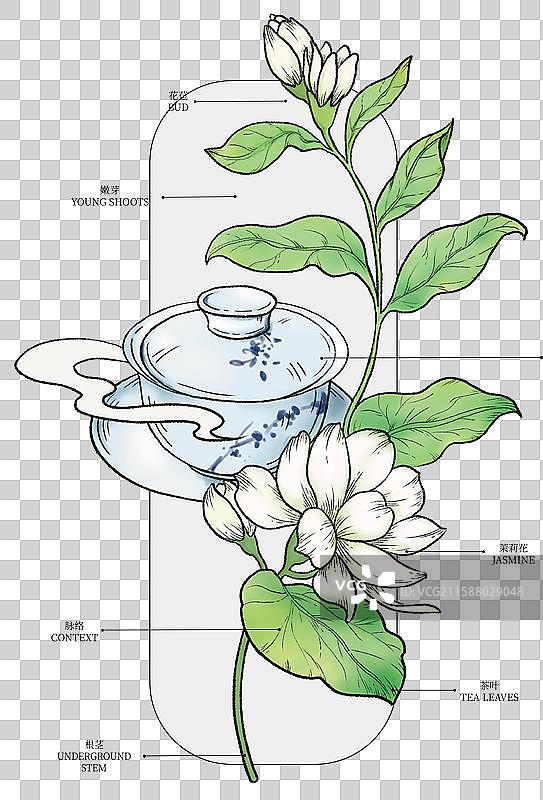 茉莉花茶茶叶茶盏绿茶免扣图茶饮奶茶图片素材