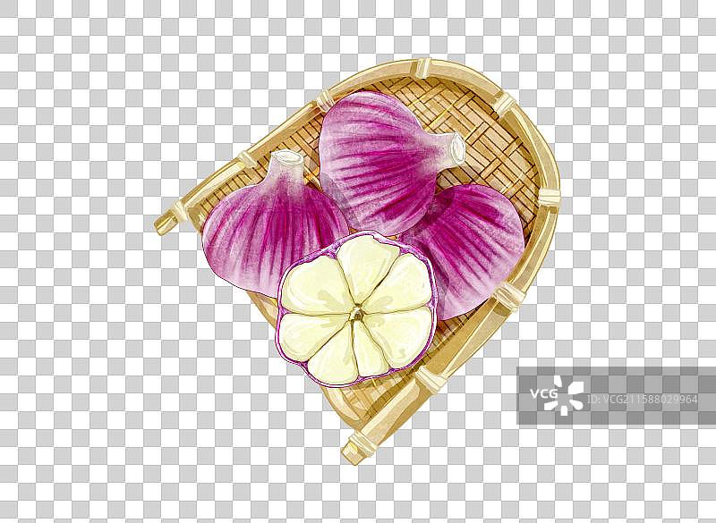 农产品调料香料大蒜图片素材