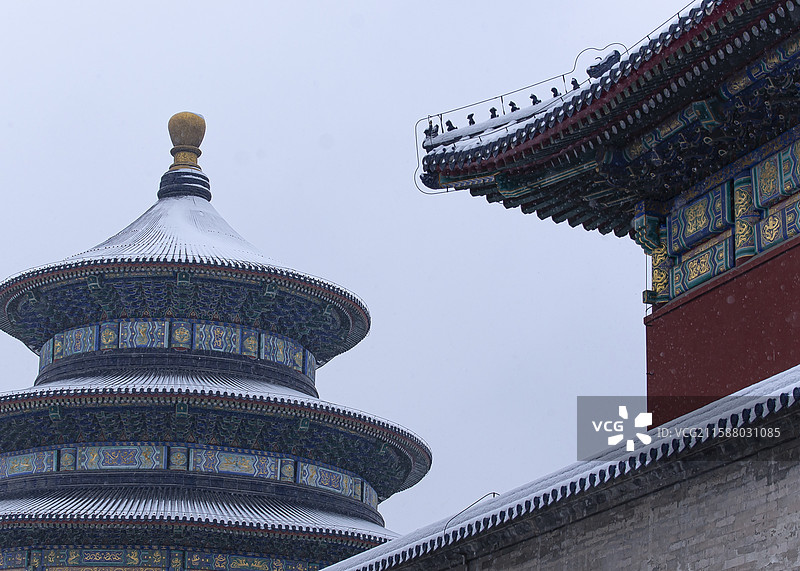 天坛大雪图片素材