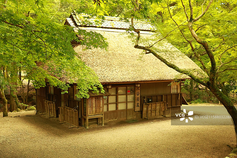 大阪，奈良，大阪城，若草山，东大寺，心斋桥，道顿堀图片素材