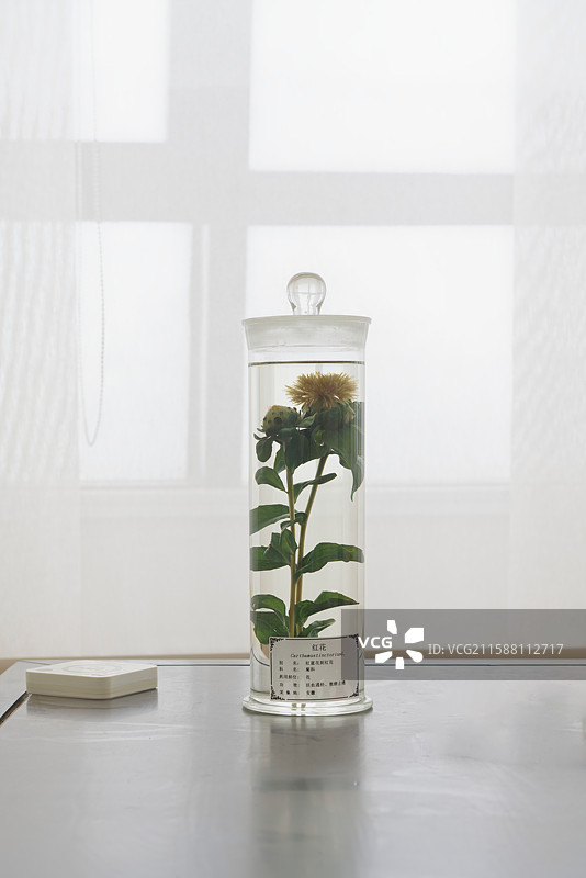 玻璃瓶，标本瓶，中药材，标本图片素材