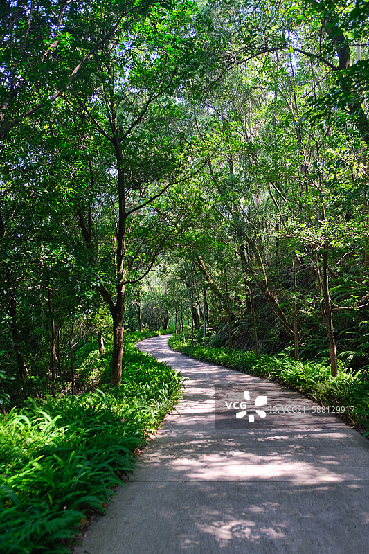 广州花都中旅阿那亚九龙湖度假区徒步风景图片素材