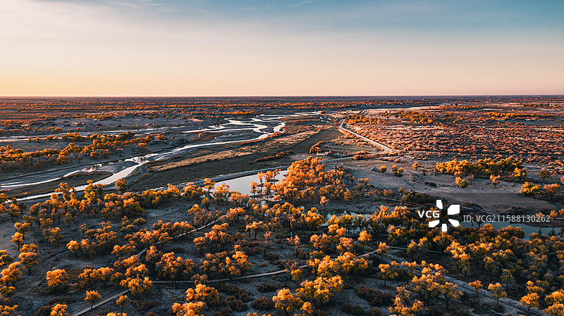 内蒙古阿拉善盟额济纳旗大漠胡杨林图片素材