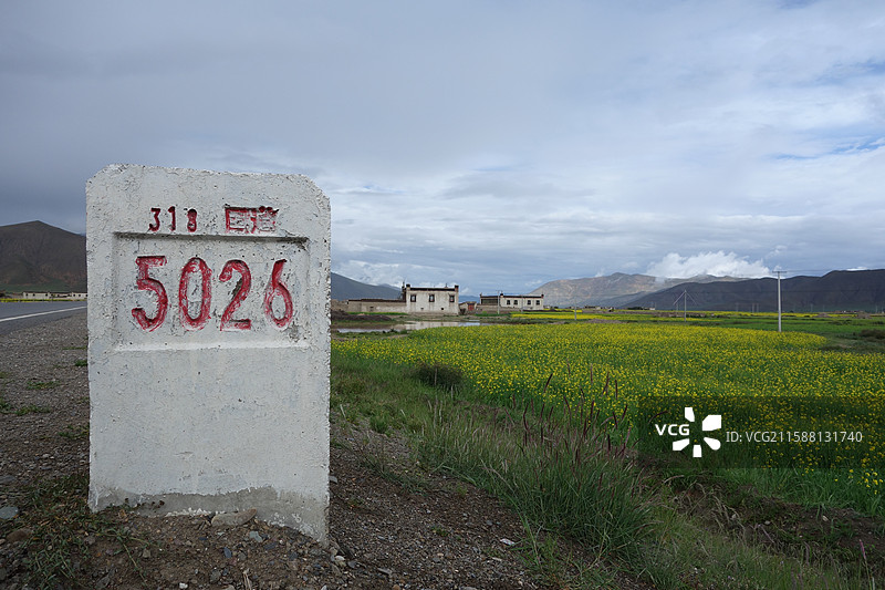 西藏日喀则市拉孜县318国道G318川藏公路川藏南线川藏线5026公里：油菜花图片素材