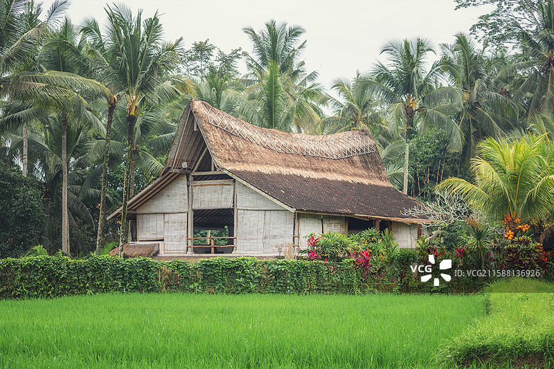 印尼巴厘岛融于自然的乌布餐厅图片素材