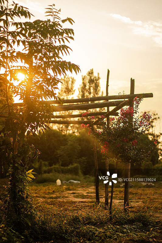 夕阳下的农牧花园图片素材