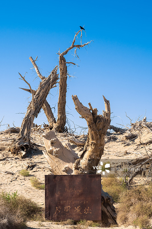 新疆-和田地区-民丰县-尼雅遗址-文物保护单位标志牌图片素材