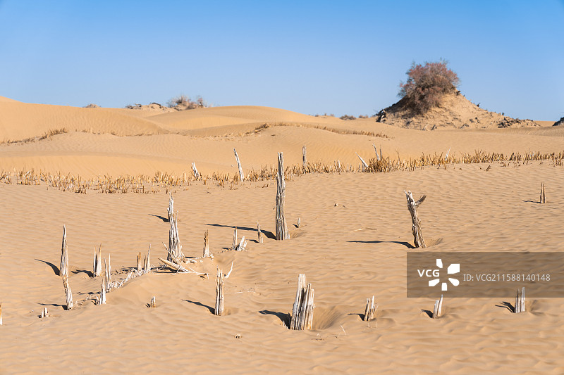 新疆-和田地区-民丰县-尼雅遗址图片素材