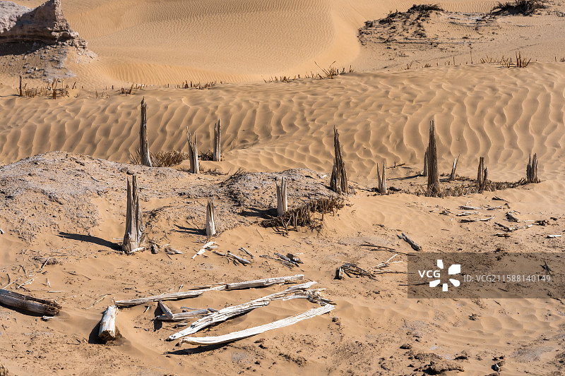 新疆-和田地区-民丰县-尼雅遗址图片素材