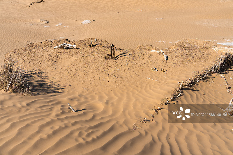 新疆-和田地区-民丰县-尼雅遗址图片素材