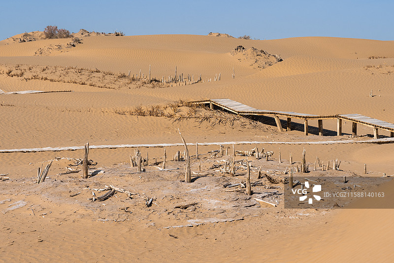 新疆-和田地区-民丰县-尼雅遗址图片素材