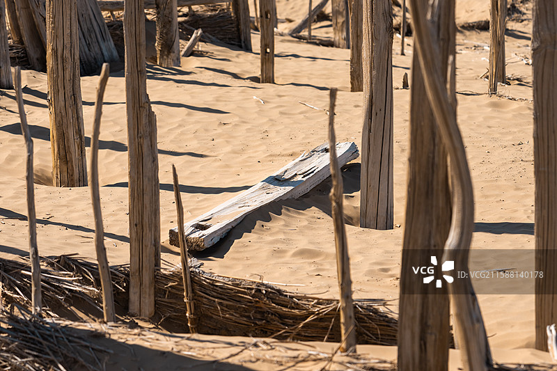 新疆-和田地区-民丰县-尼雅遗址图片素材