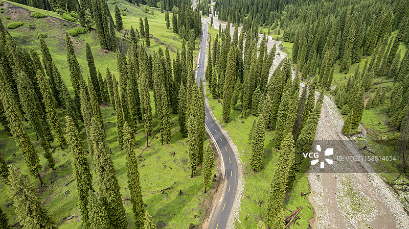 新疆巩留县库尔德宁自然保护区图片素材